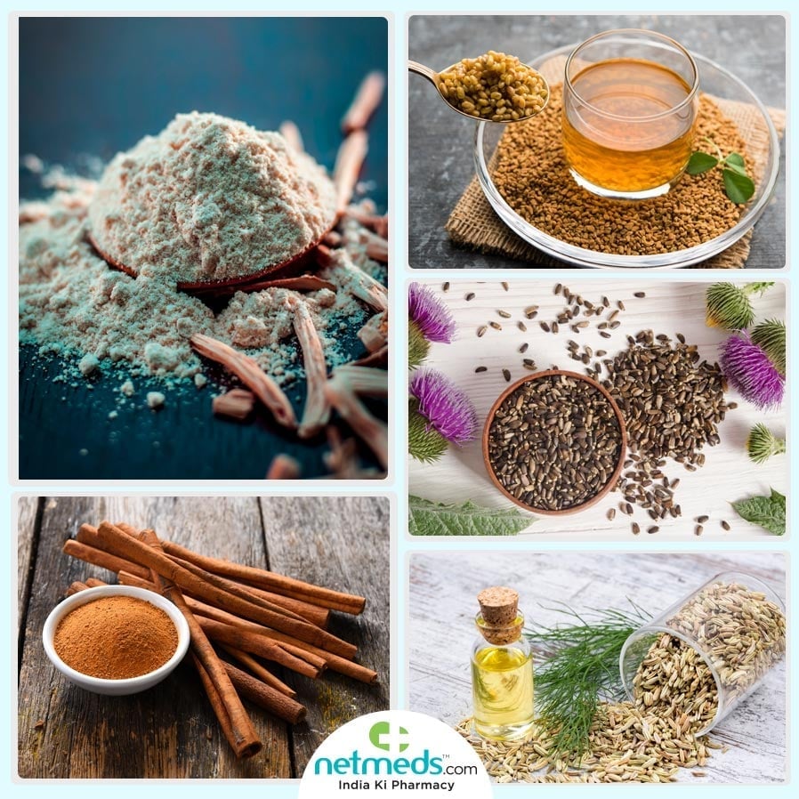 ayurveda for lactation