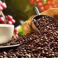 Coffee Compounds May Reduce Risk Of Prostate Cancer 