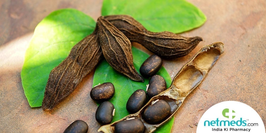 Kaunch Beej Plant