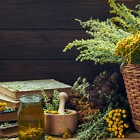 Artemisia Absinthium/Wormwood: Uses, Health Benefits, And Side Effects Of This Aromatic Healing Herb