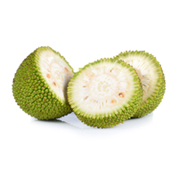 Raw Green Jackfruit Powder: Nutrition, Health Benefits, Uses, and Side Effects