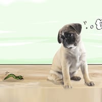 Parasitic Worms in Dogs: Protect Your Furry Buddies Against This Silent Health Condition