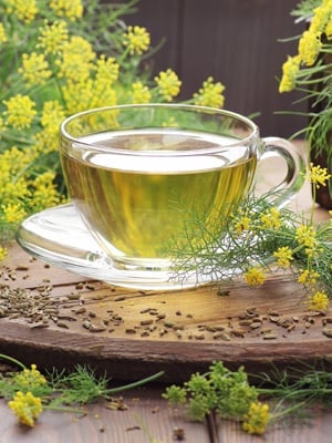 Is Fennel Water Good for Weight Loss? Benefits, Uses, and Side Effects