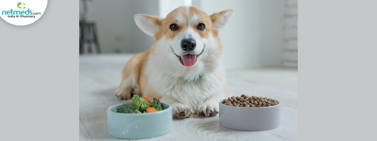 Pet protein 
