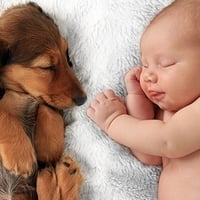 Moms With Dogs Have Healthier Babies