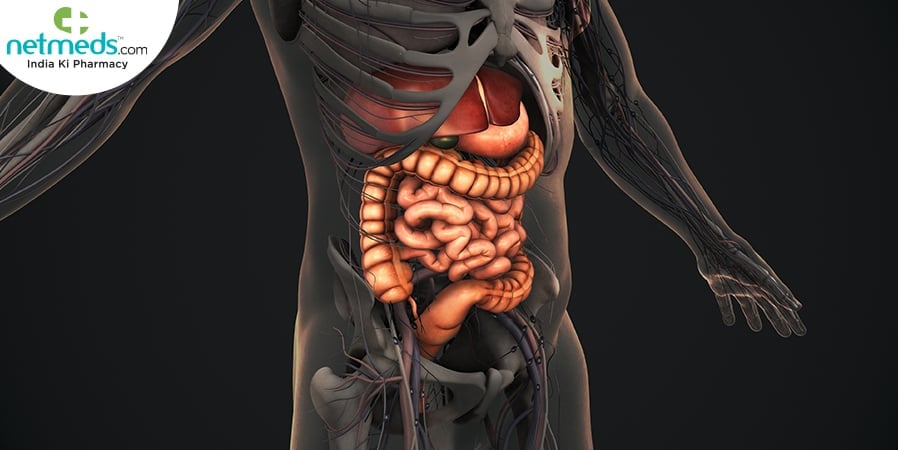 Gastric Function Test