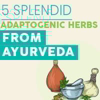 Adaptogens: 5 Brilliant Ayurvedic Herbs To Pacify Stress And Promote Health – Infographic