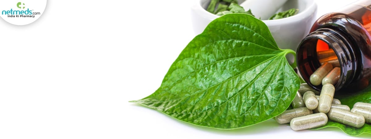 betel leaf