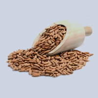 5 Nutritional Benefits Of Chilgoza/Pine Nuts #shorts