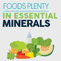 6 Key Minerals Functions And Sources - Infographic