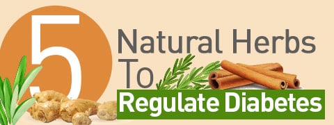 Diabetes: 5 Incredible Herbs for Controlling Blood Sugar Levels (Infographic)