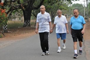 walking_a_day