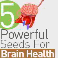 Brain Health: 5 Must-To-Add Seeds For Better Cognitive Power And Memory-Infographic
