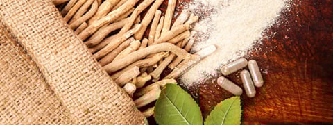 Ashwaganda benefits churna uses