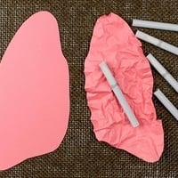 How smoking damages the lungs