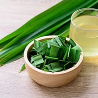 Pandan Leaves: Health Benefits, Nutritional Values, Therapeutic Uses, Dosage And Side Effects