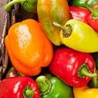 Bell Peppers: Why This Colourful Veggie Should Be Part Of Your Daily Diet