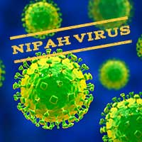 Nipah Virus: Kerala On Alert After Youth Hospitalised With Deadly Fever 