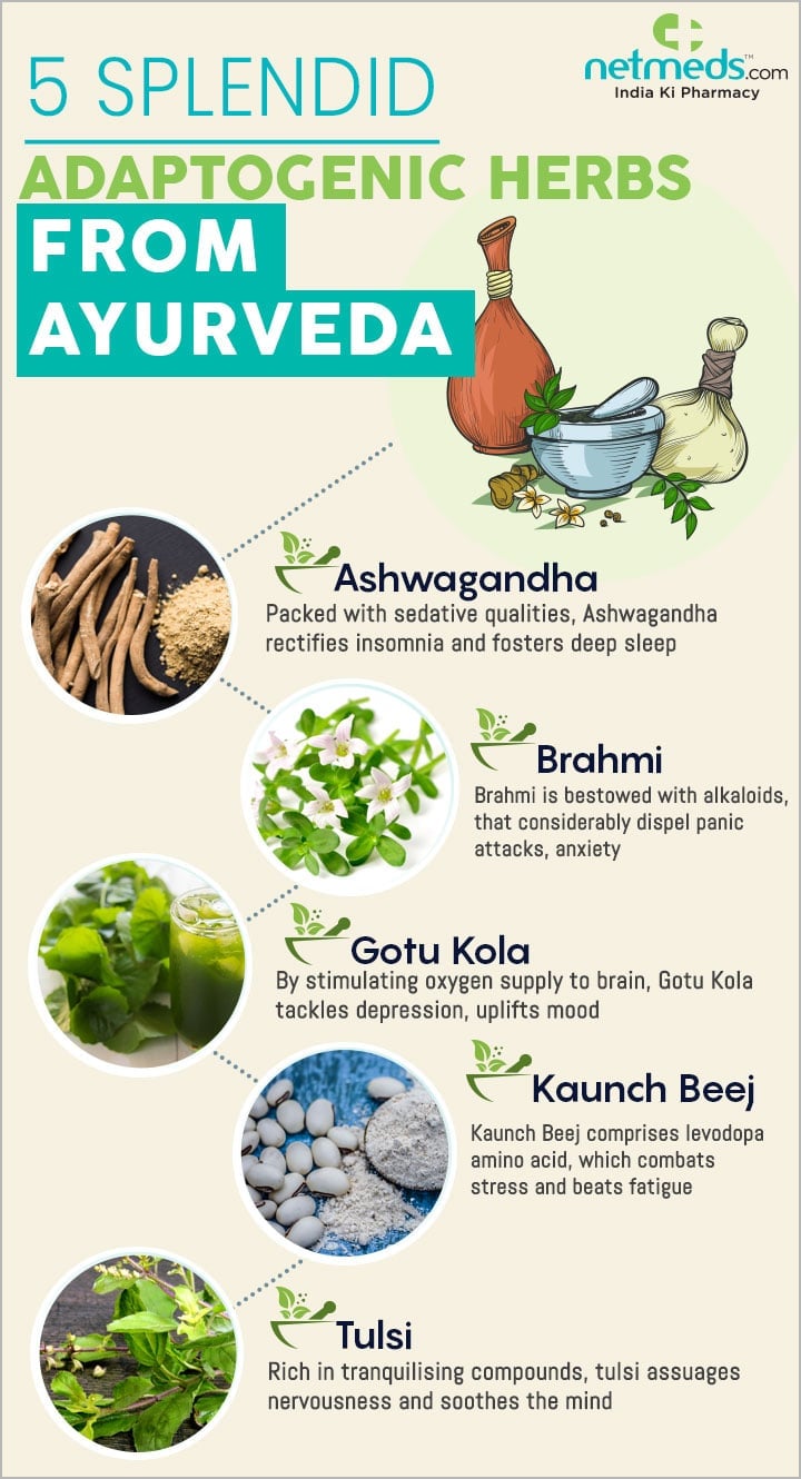 5 Splendid Adaptogenic Herbs From Ayurveda