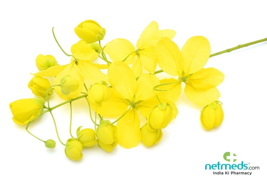 amaltas doshas