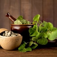 Gotu Kola: 5 Fabulous Wellness Incentives Of This Wonder Herb