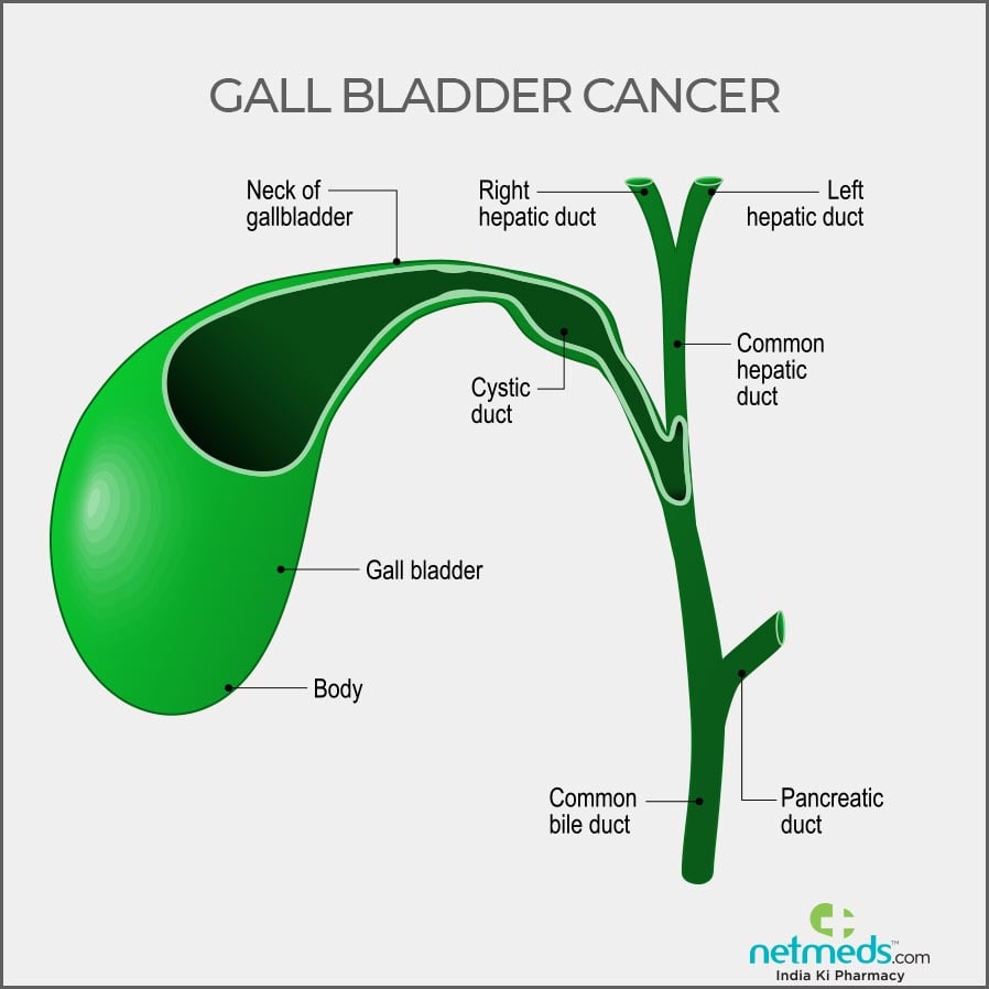 Gall Bladder Cancer 