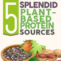 5 Marvelous Plant -Based Protein Sources For Overall Health- Infographic