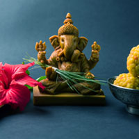 Ganesh Chaturthi: Incredible Therapeutic Benefits of Herbs Used in The Rituals