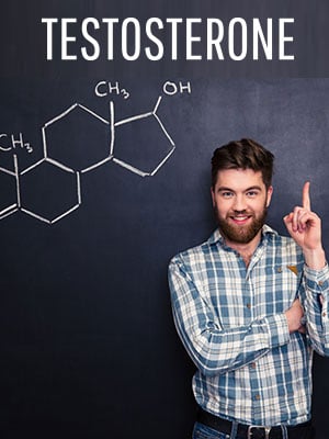 Testosterone: Structure, Crucial Functions, Adverse Effects