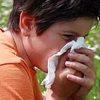Grass Pollen Can Help Predict Asthma, Hay Fever