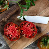 Brandywine Tomatoes: Health Benefits Of These Delicious Red Fruit. Culinary Uses And Recipes Inside