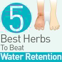 Natural Diuretics: 5 Must-To-Try Herbs For Better Kidney Health- Infographic