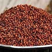 5 Reasons To Add Ragi To Your Diet ASAP