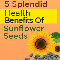 Sunflower Seeds: 5 Amazing Wellness Advantages Of This Power-Packed Seed - Infographic
