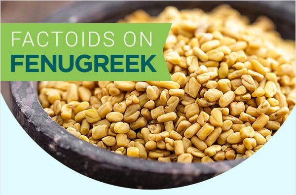 Factoids on fenugreek