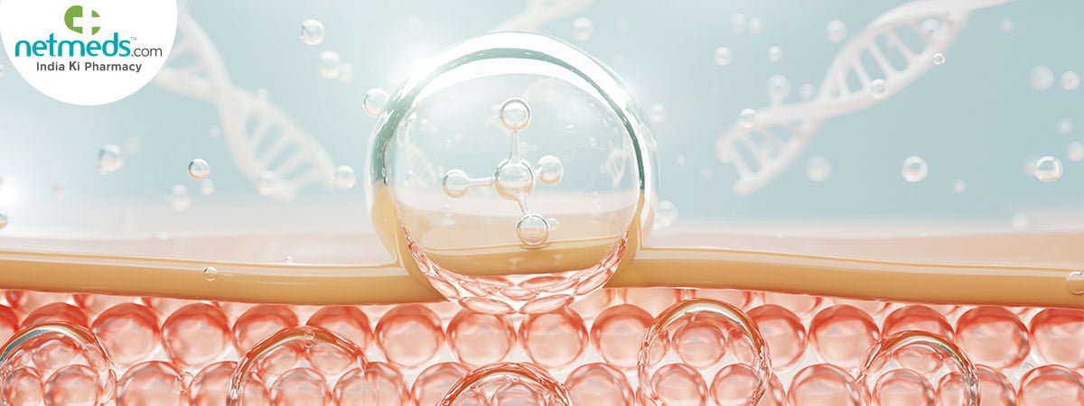 antioxidants absorb in skin