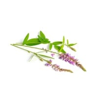 Shalparni: Uses, Health Benefits, Ayurvedic Indications, Dosage, Side Effects and Precautions