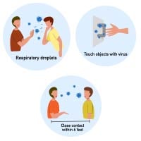 Viral Shedding: All You Need To Know About This Phenomenon In COVID-19 Transmission