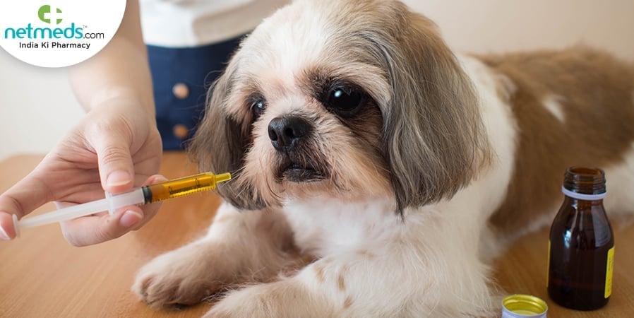 Pet nutrition