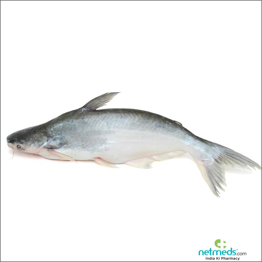 Basa Fish Breeding Techniques