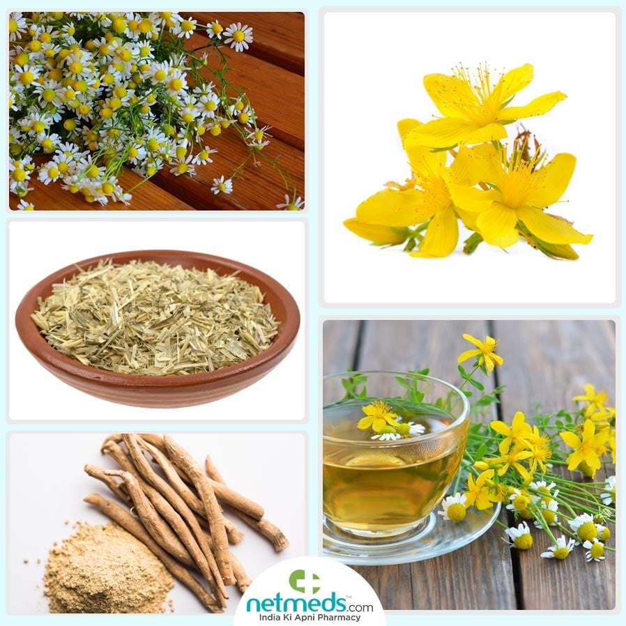nervine herbs