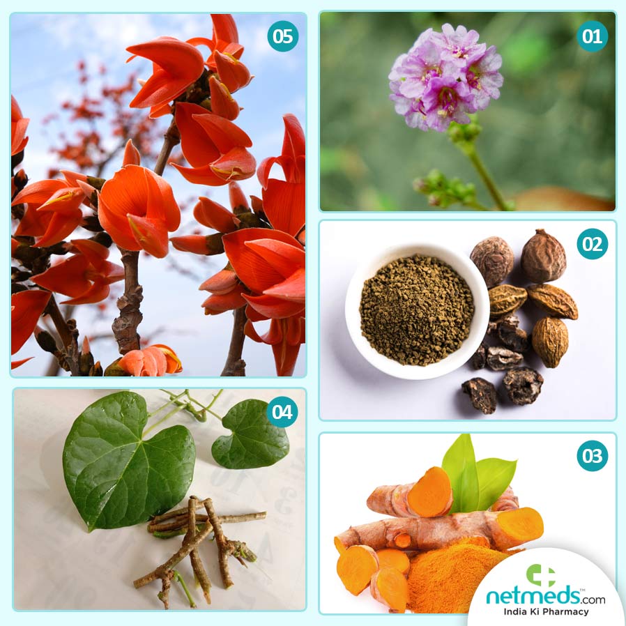Ayurvedic Herbs To Enhance Kidney Functions