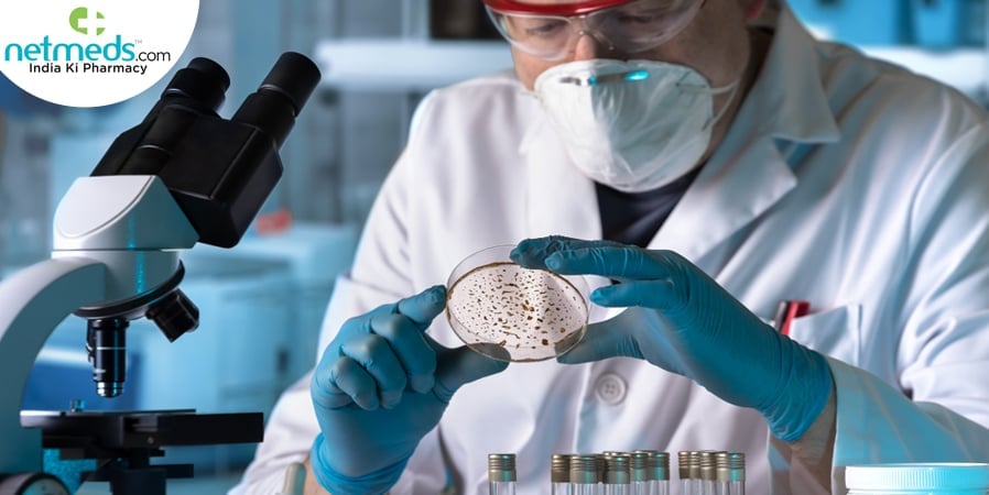 Urine Culture