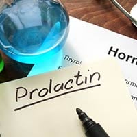 Prolactin: Structure, Crucial Functions, Adverse Effects