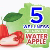 Water Apple: Discover The Phenomenal Health Benefits Of This Tropical Fruit - Infographic