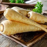 Parsnip: Health Benefits, Nutrition, Ayurvedic Uses, Recipes, Side Effects