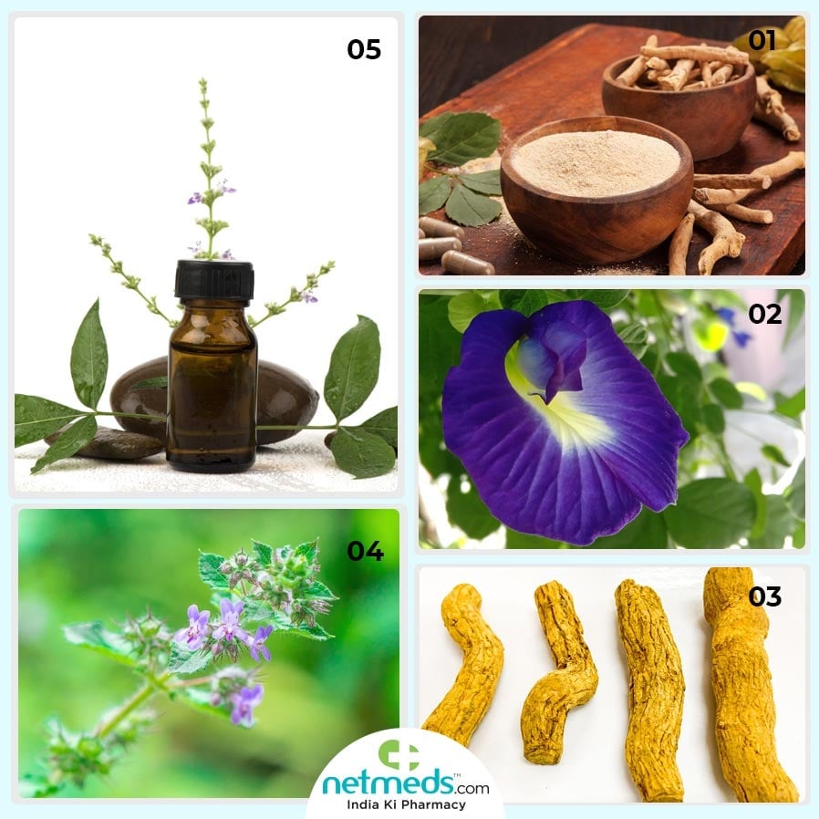 Ayurveda For Sleep Apnea Natural Remedies