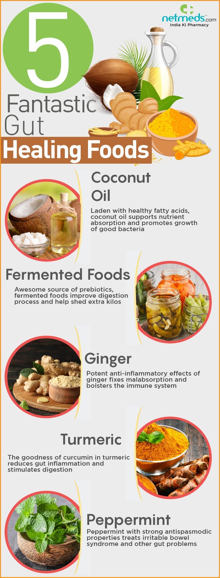 5 Fantastic Gut Healing Foods