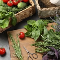 Natural Remedies For Pain: Herbs And Essential Oils That Actually Work