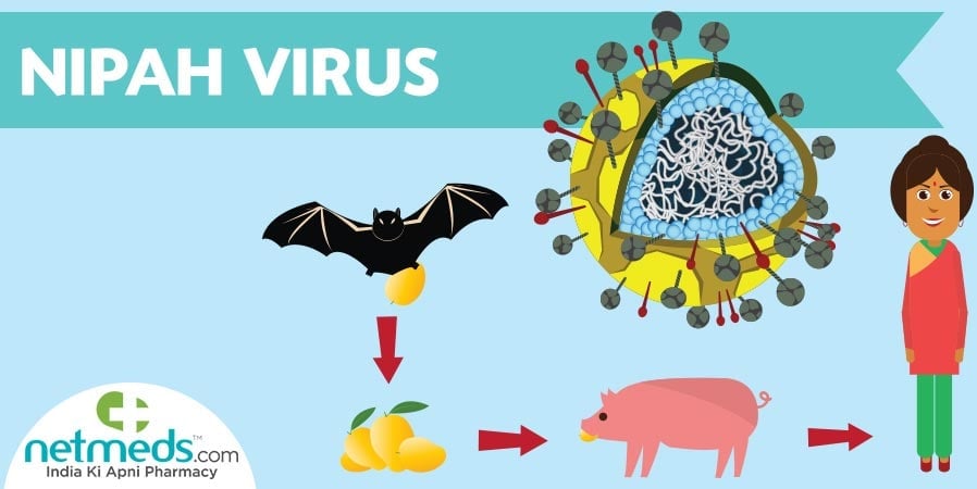 Nipah Virus Disease Causes